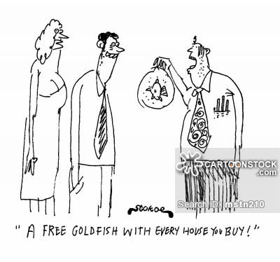 'A free goldfish with every house you buy!'